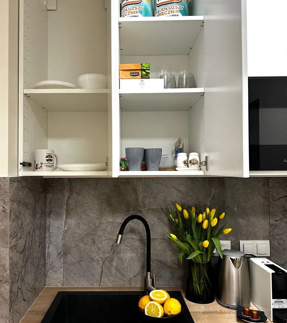 Goldizone Apartment Warsaw